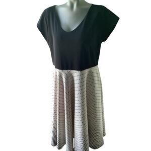 Masseys- Polka Dot Dress size XL